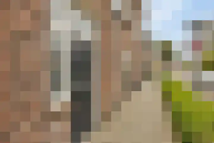Molenstraat 92 Boxtel thumbnail 5