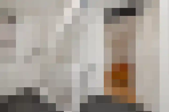 Molenveld 7 Anna Paulowna thumbnail 17