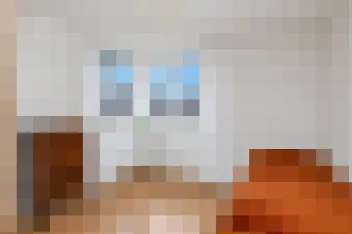 Molenveld 7 Anna Paulowna thumbnail 24