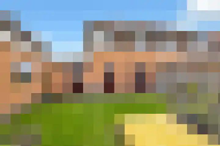 Molenveld 7 Anna Paulowna thumbnail 5