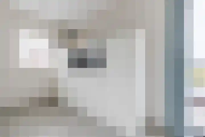Molenvelden 17 Hapert thumbnail 10