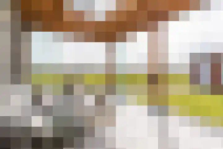 Molenvelden 17 Hapert thumbnail 19