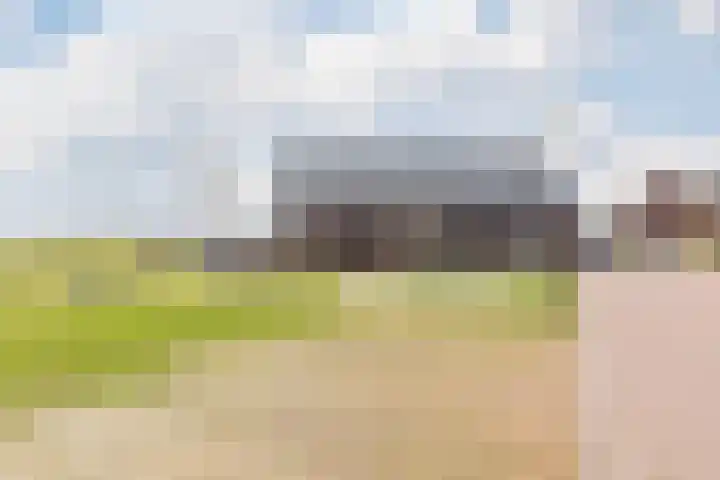Molenvelden 17 Hapert thumbnail 53