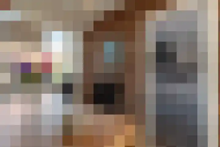Molenveldsingel 15 Doesburg thumbnail 21
