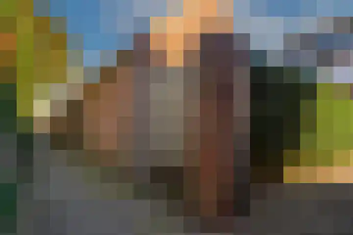 Molenveldsingel 15 Doesburg thumbnail 30