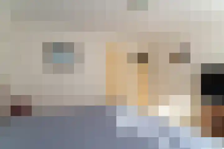 Molenveldsingel 15 Doesburg thumbnail 36