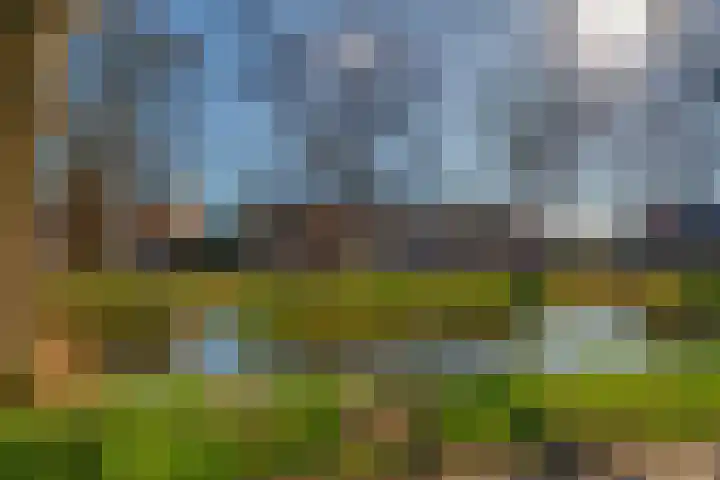 Molenveldsingel 15 Doesburg thumbnail 7