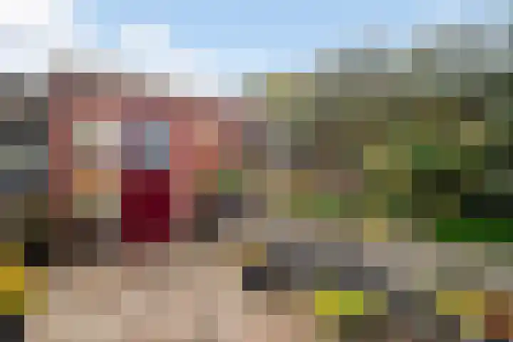 Molenveldsingel 18 Doesburg thumbnail 5