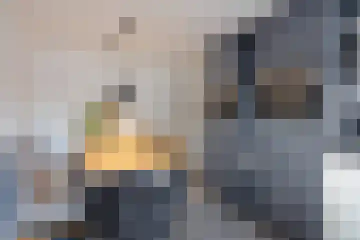 Molenwal 14 Oudewater thumbnail 10