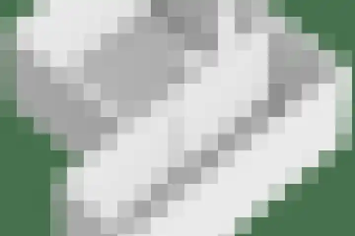 Molenwal 14 Oudewater thumbnail 33