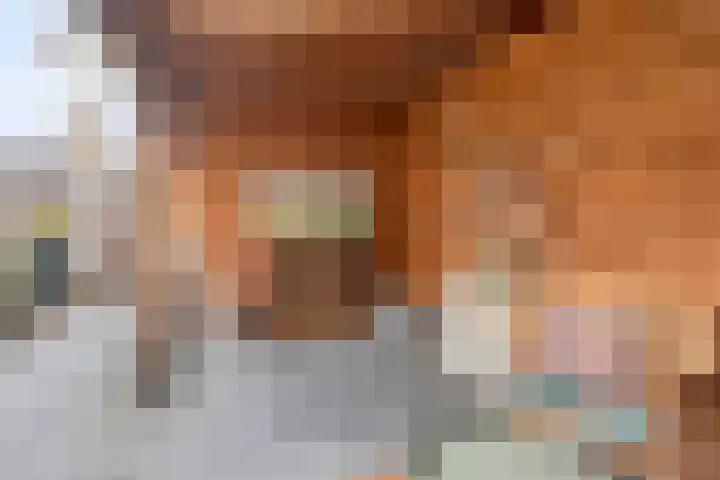 Molenwal 14 Oudewater thumbnail 34