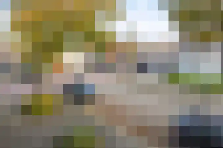 Molenwal 14 Oudewater thumbnail 35