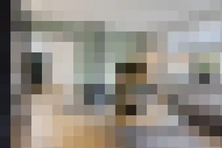 Molenwal 14 Oudewater thumbnail 4