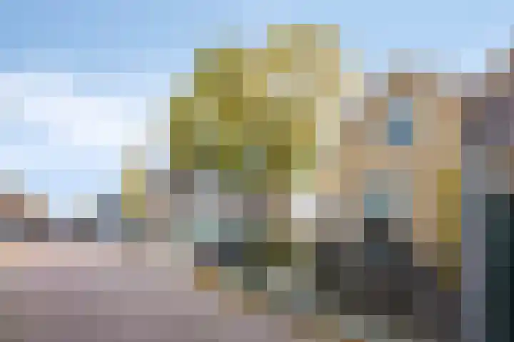 Molenwal 14 Oudewater thumbnail 40