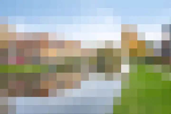 Molenwal 14 Oudewater thumbnail 41
