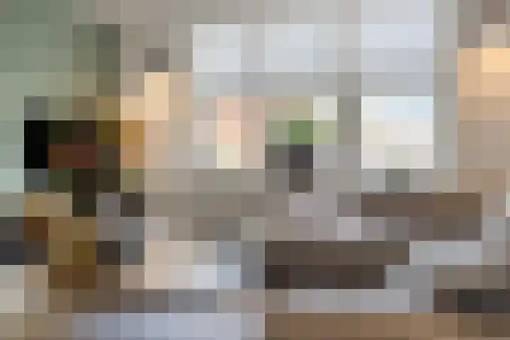 Molenwal 14 Oudewater thumbnail 5