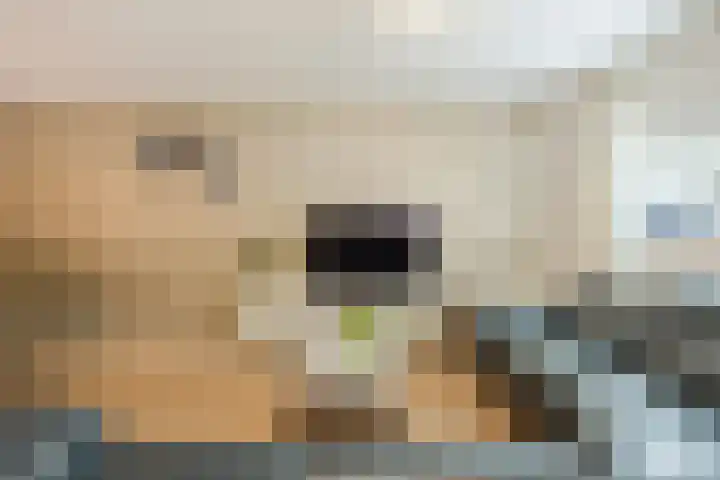 Molenwal 14 Oudewater thumbnail 7