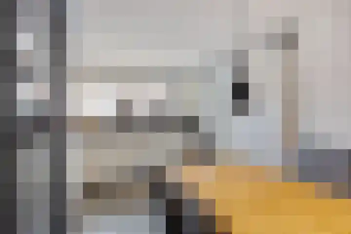 Molenwal 14 Oudewater thumbnail 8