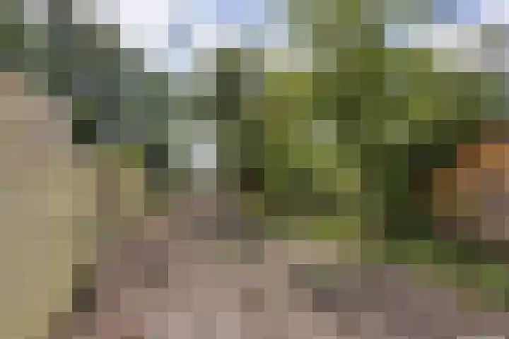Molenwal 16 Gorredijk thumbnail 23