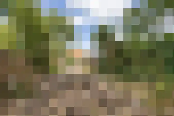 Molenwal 16 Gorredijk thumbnail 24
