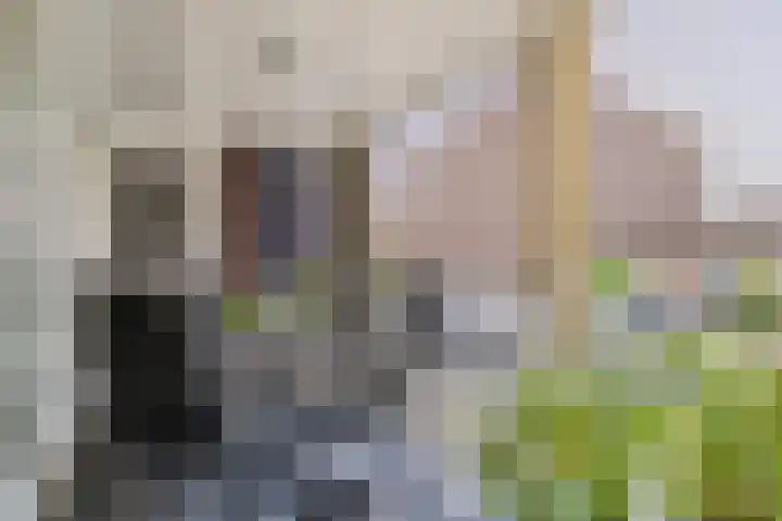 Molenwal 18 Oudewater thumbnail 11
