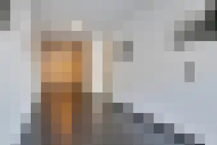 Molenwal 18 Oudewater thumbnail 23
