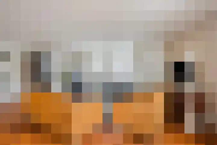 Molenwal 18 Oudewater thumbnail 7