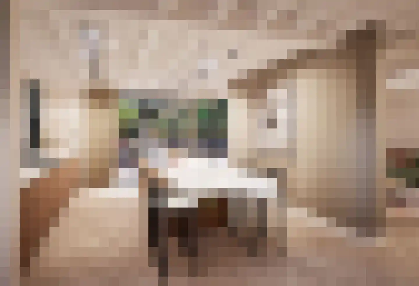 Molenweg 21 B Eemnes thumbnail 10