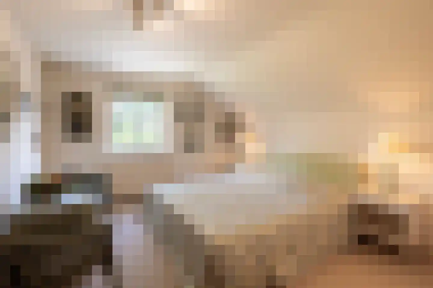 Molenweg 21 B Eemnes thumbnail 19