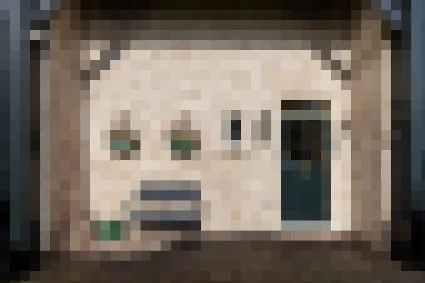 Molenweg 21 B Eemnes thumbnail 30