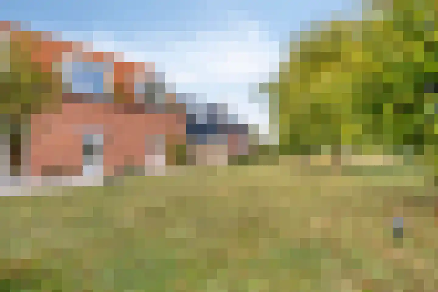 Molenweg 21 Dreischor thumbnail 12