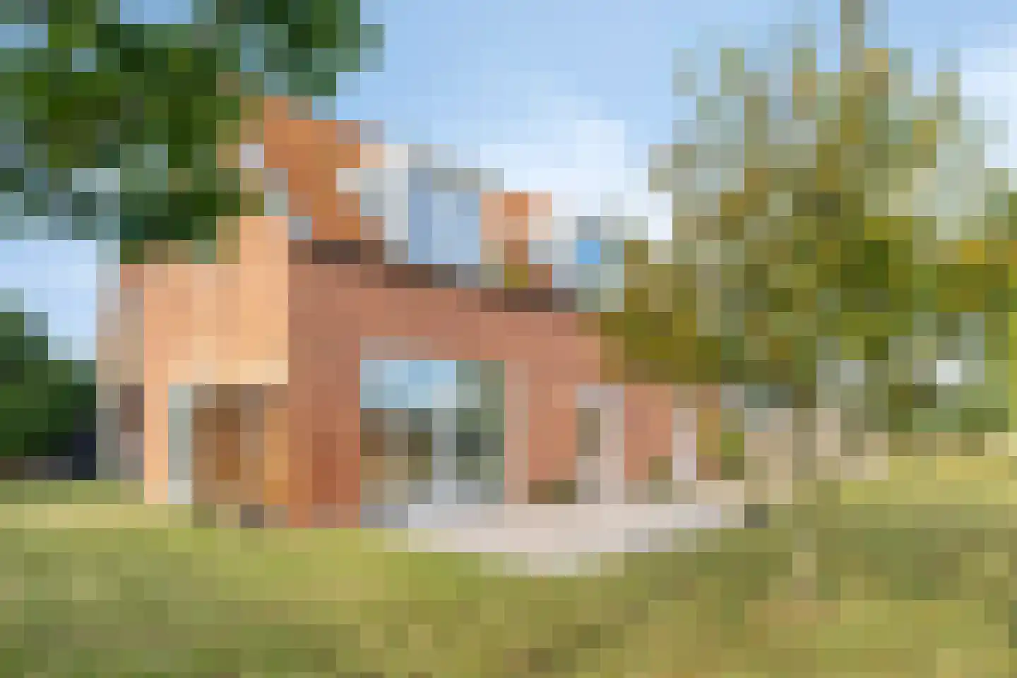 Molenweg 21 Dreischor thumbnail 14