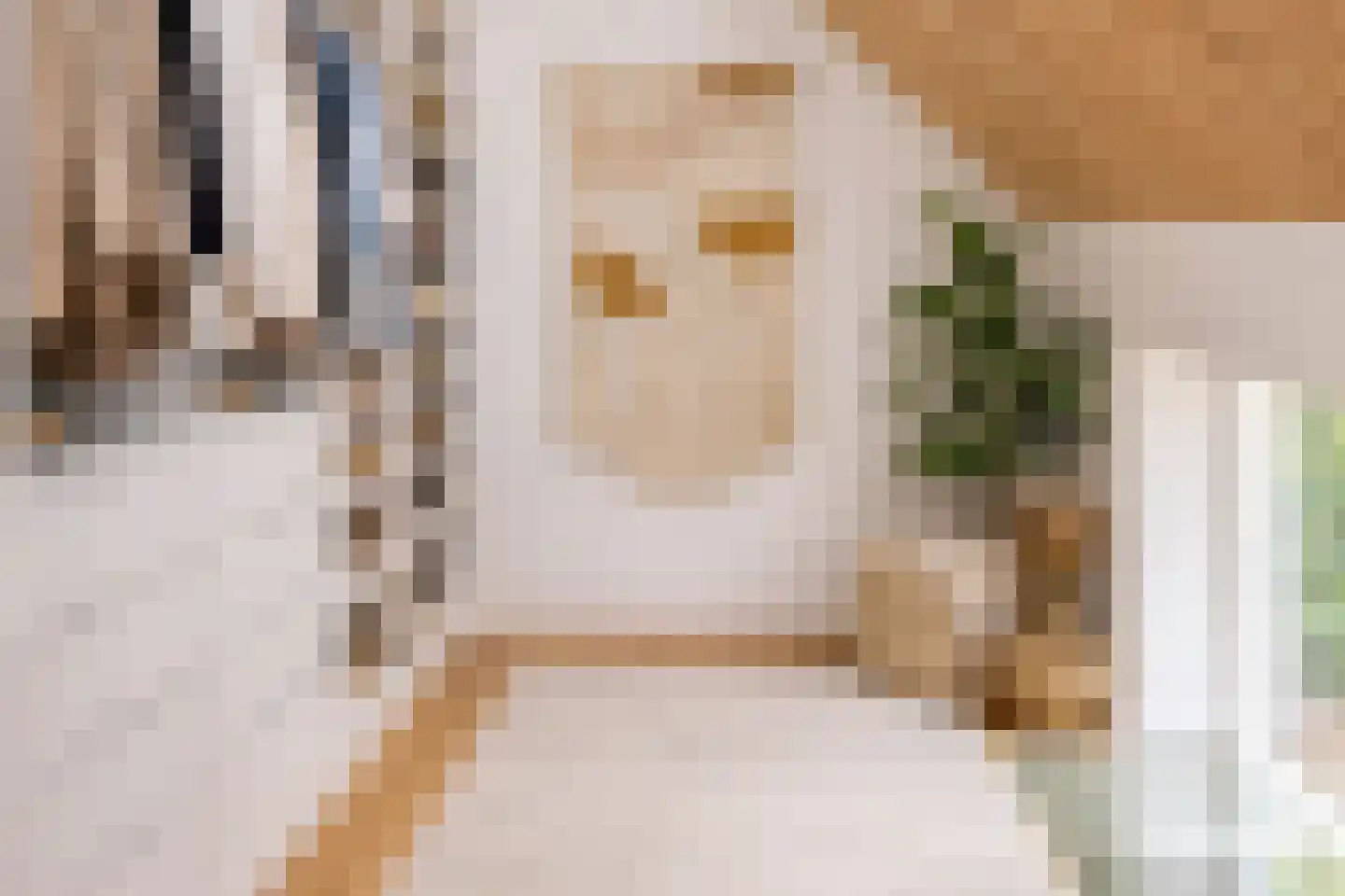 Molenweg 21 Dreischor thumbnail 22