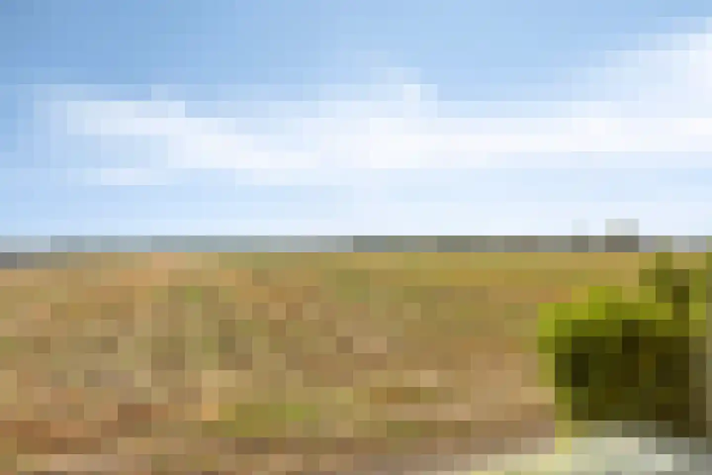 Molenweg 21 Dreischor thumbnail 6