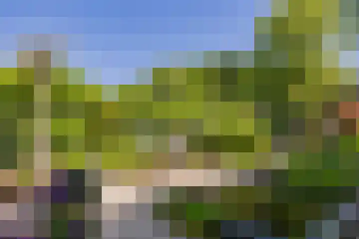 Molenweg 21 Limmen thumbnail 64