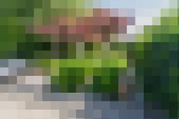 Molenweg 21 Limmen thumbnail 69