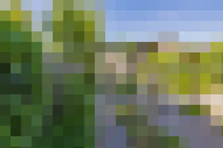Molenweg 21 Limmen thumbnail 70