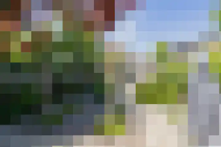 Molenweg 21 Limmen thumbnail 76