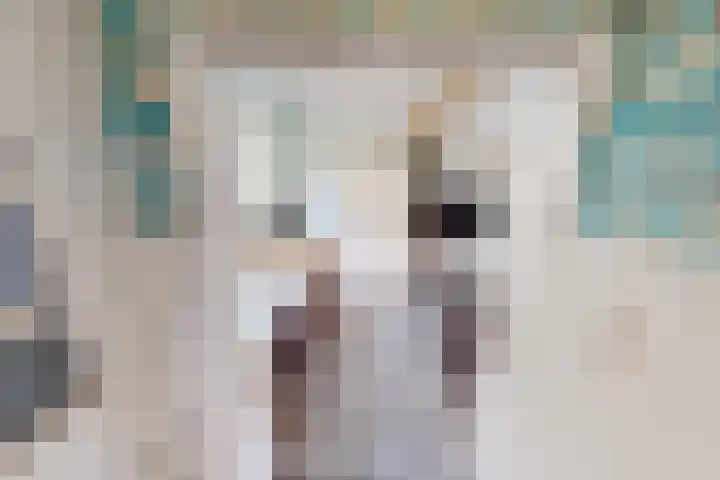 Molenweg 25 Andijk thumbnail 10