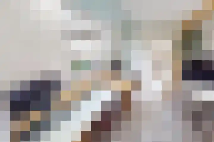 Molenweg 25 Andijk thumbnail 11