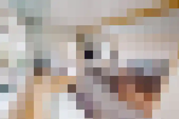 Molenweg 25 Andijk thumbnail 12