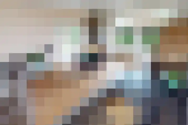 Molenweg 25 Andijk thumbnail 28