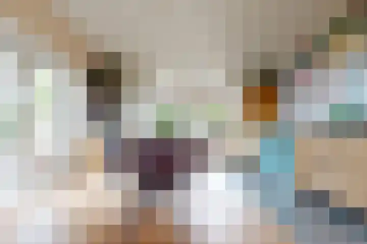 Molenweg 25 Andijk thumbnail 29