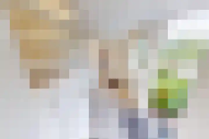 Molenweg 25 Andijk thumbnail 30