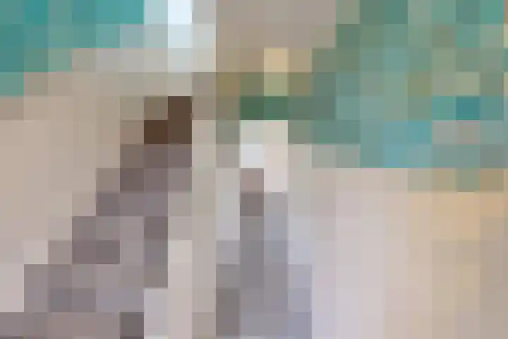 Molenweg 25 Andijk thumbnail 36