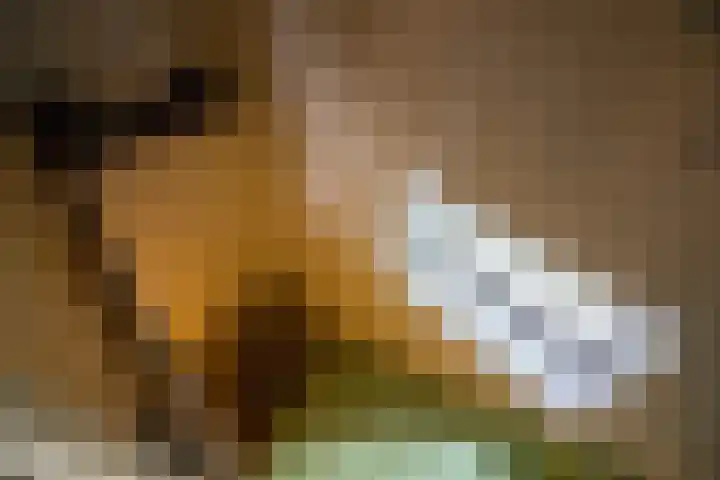 Molenweg 25 Andijk thumbnail 37