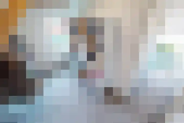 Molenweg 25 Andijk thumbnail 41