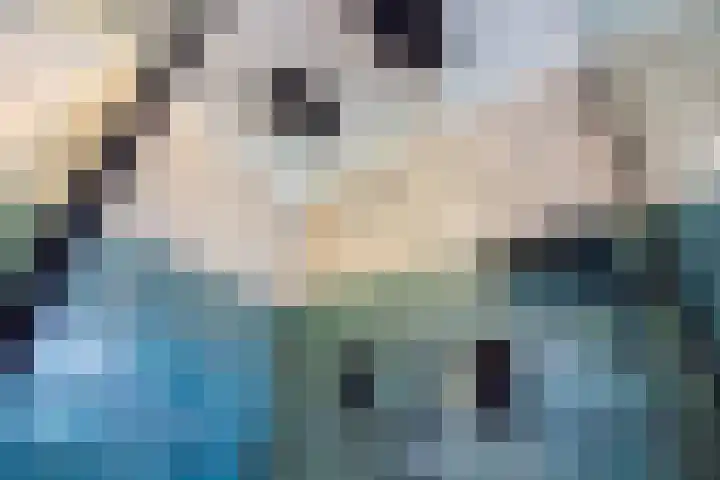 Molenweg 25 Andijk thumbnail 54