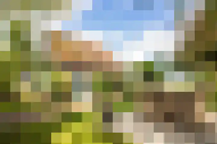 Molenweg 25 Andijk thumbnail 57