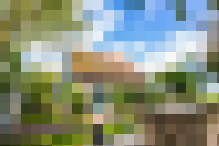 Molenweg 25 Andijk thumbnail 58